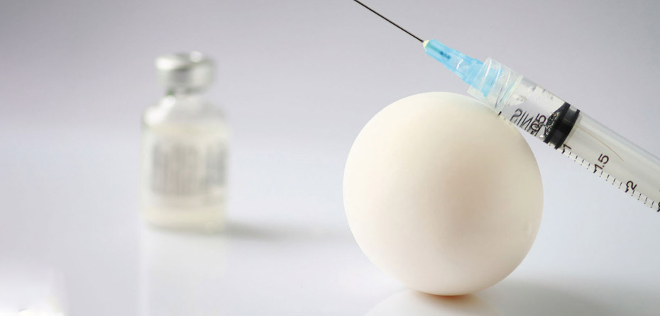 در صورت حساسیت به تخم مرغ آیا باید واکسن آنفولانزا بزنید؟