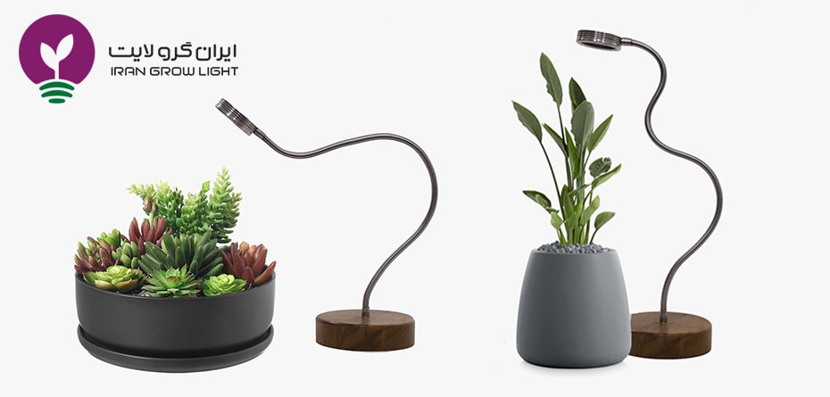 به جای خورشید لامپ رشد گیاه را برای گیاهانتان به خانه ببرید!