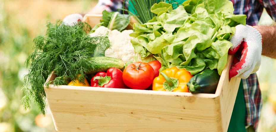 آیا می‌توانیم سبزیجات تازه را جایگزین سبزیجات یخ زده کنیم؟