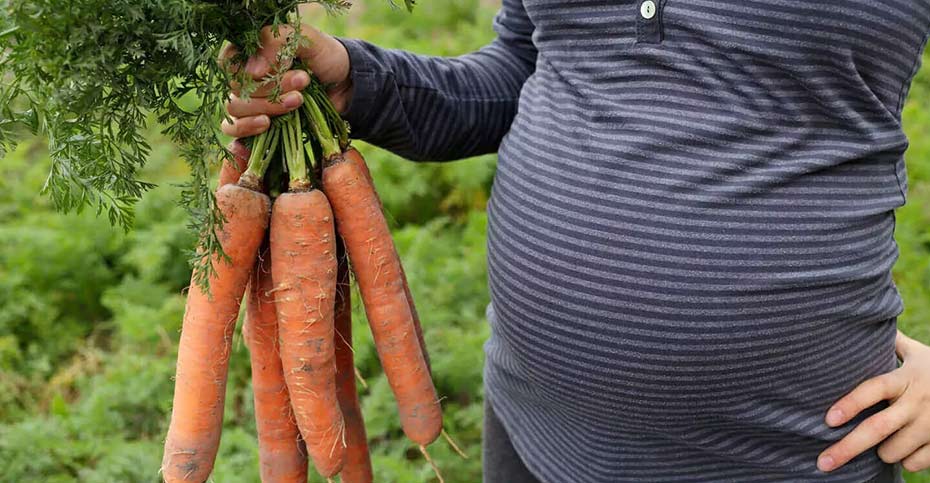خوردن هویج در دوران بارداری